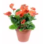 PENSEE artificielle orange 27 cm - en pot marron