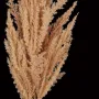 HERBE DE PAMPA artificielle 82 cm esprit sec - détail