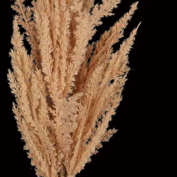 HERBE DE PAMPA artificielle 82 cm esprit sec - détail