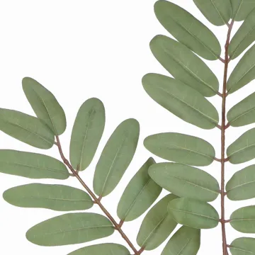 branche de ROBINIER artificielle ou faux-acacias artificielle 110 cm - détails feuilles