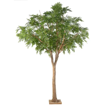 BUCIDA artificiel 360 cm