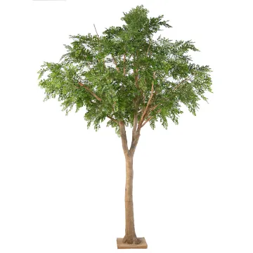 Bucida artificiel 360cm anti feu