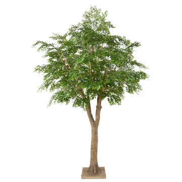 BUCIDA artificiel 300 cm