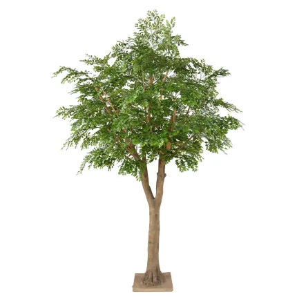 BUCIDA artificiel 300 cm