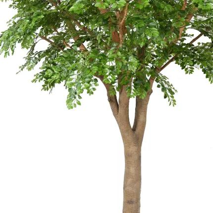 BUCIDA artificiel 300 cm - tronc