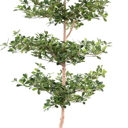 BUCIDA Buceras artificiel 230 cm - tronc