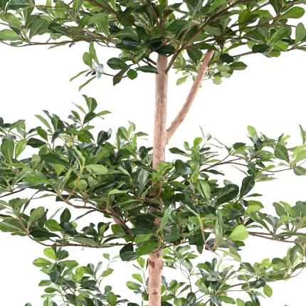 BUCIDA Buceras artificiel 230 cm - feuillage