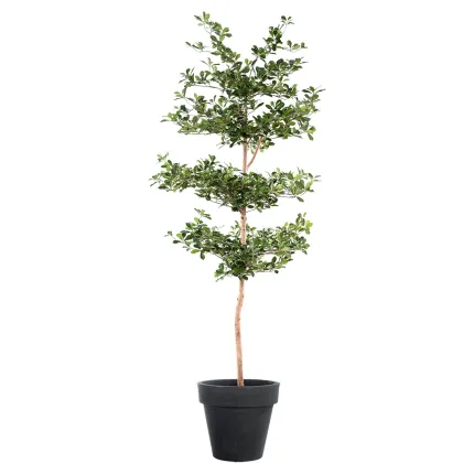 BUCIDA Buceras artificiel 230 cm - en pot
