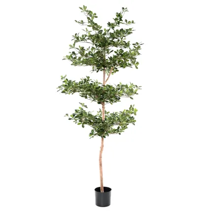 BUCIDA Buceras artificiel 230 cm