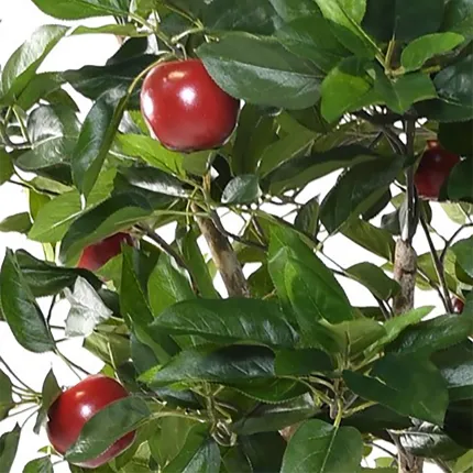 POMMIER artificiel large 250 cm en pot - fruit