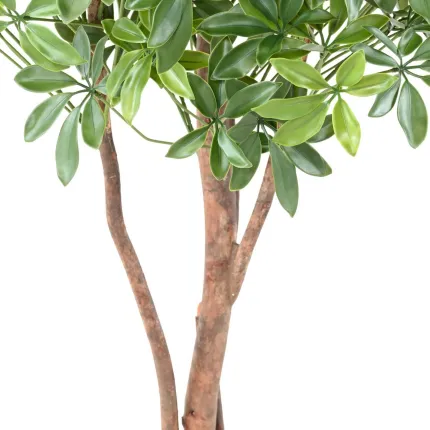 SCHEFFLERA artificiel BUISSON  90 et 110 cm uv - tronc