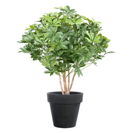 SCHEFFLERA artificiel BUISSON  90 cm uv en pot