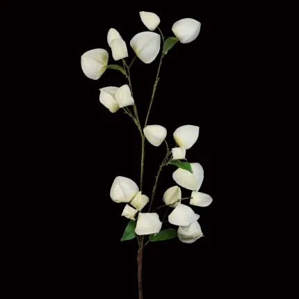 PHYSALIS artificiel 96 cm crème