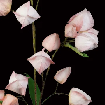 PHYSALIS artificiel 96 cm lanterne rose - détail