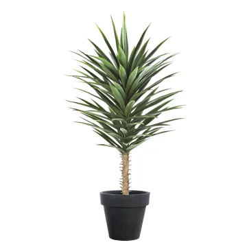 yucca artificiel rostré 130 cm - en pot