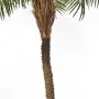 PHOENIX artificiel PALM TREE  225 à 280 cm - tronc
