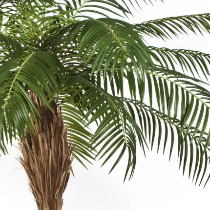 PHOENIX artificiel PALM TREE  225 à 280 cm - palmes