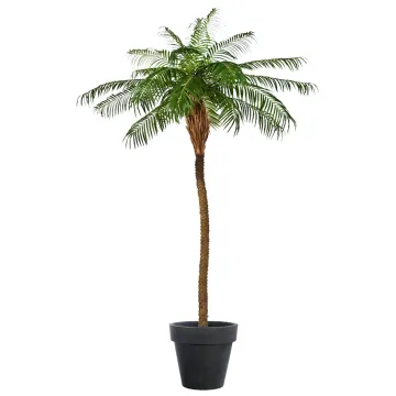 PHOENIX artificiel PALM TREE  225 à 280 cm en pot