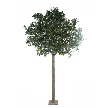 ARBRE CAMELIA DU JAPON artificiel (CAMELIA JAPONICA ) 300 cm