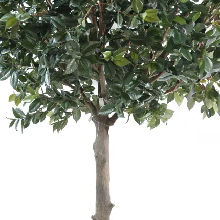 ARBRE CAMELIA DU JAPON artificiel (CAMELIA JAPONICA ) 300 cm - tronc