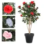 CAMELIA artificiel JAPONICA double 160 cm - 3 couleurs