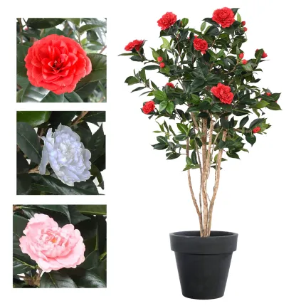 CAMELIA artificiel JAPONICA double 160 cm - 3 couleurs