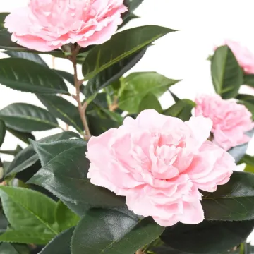 CAMELIA artificiel JAPONICA double 160 cm rose - fleurs