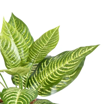 APHELANDRA artificiel 30 cm - feuilles détails