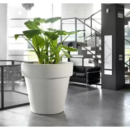 mise en situation classico prima blanc dans un salon