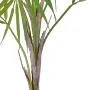 PALMIER artificiel Chamaedorea 85 cm - pic