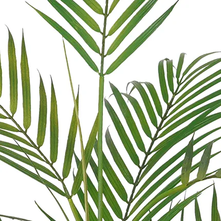 PALMIER artificiel Chamaedorea 85 cm - palmes