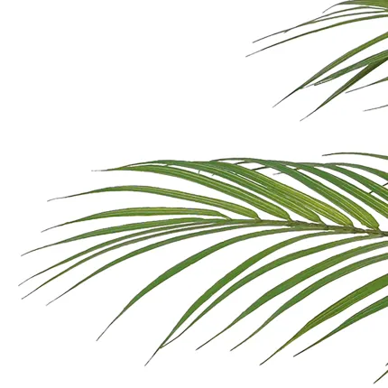 PALMIER artificiel Chamaedorea 85 cm - détail palme