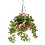 Géranium en pot à suspendre 75 cm