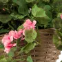 Géranium artificiel en pot à suspendre 75 cm - fleurs