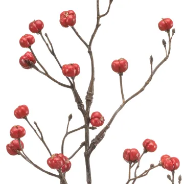vu en détail de la branche de BAIES de fusain ( Euonymus ) 68 cm rouge