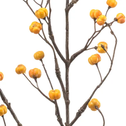 branche de BAIES de fusain ( Euonymus ) 68 cm jaune - baies