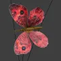 un papillon en détail de la Tige de PAPILLONS 60 cm