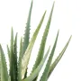 ALOEVERA artificiel 48 cm - pointes