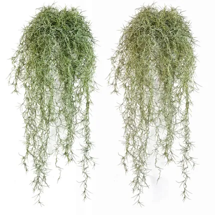 TILLANDSIA artificiel vert  80 cm - 2 couleurs