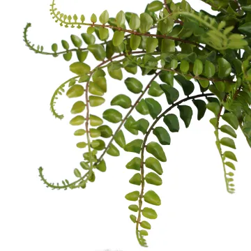 FOUGERE artificielle Pellaea plastique diam 40 cm - détails feuille