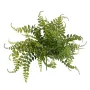 FOUGERE artificielle Pellaea plastique diam 40 cm