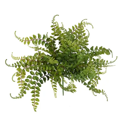 FOUGERE artificielle Pellaea plastique diam 40 cm