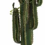 CACTUS artificiel finger 150 cm avec feuilles - épines et feuilles détails