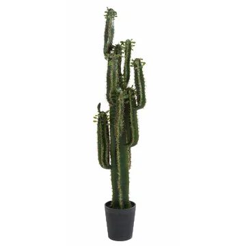 CACTUS artificiel finger 150 cm avec feuilles