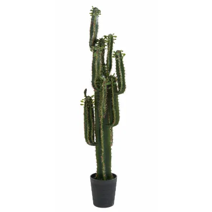CACTUS artificiel finger 150 cm avec feuilles