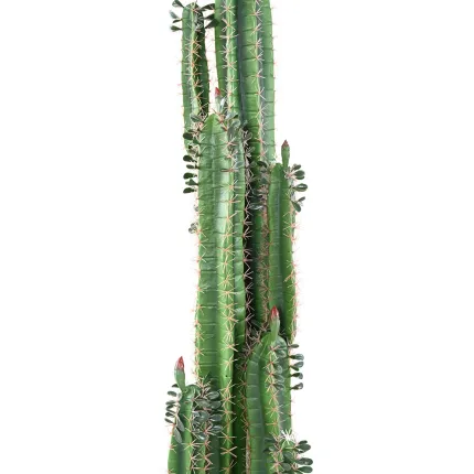 CACTUS artificiel finger 185 cm avec feuilles de dos - partie centrale
