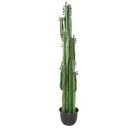 CACTUS artificiel finger 185 cm avec feuilles de dos