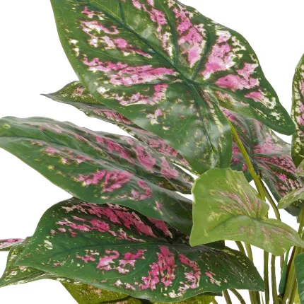 CALADIUM artificiel 40 cm - feuillage