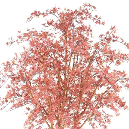 ERABLE artificiel plast (Aralia) 270 cm vert rouge - cime