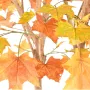 PLATANE artificiel 240 cm automne - feuilles couleurs